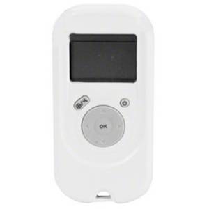 Dolphin Basic Wireless Remote - ROBOTIC